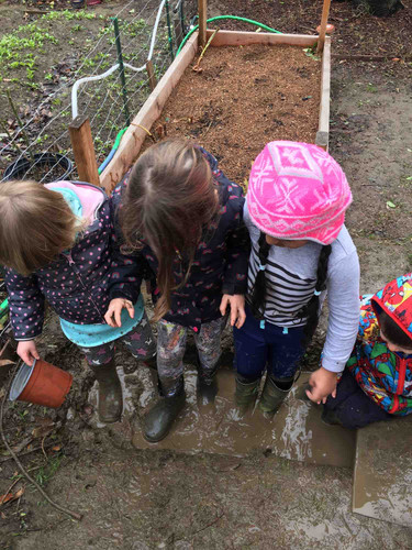 Photo of Sharma Family Daycare - Davis, CA