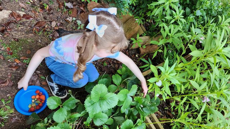 Photo of Yami's Garden Child Care - Lawrenceville, GA