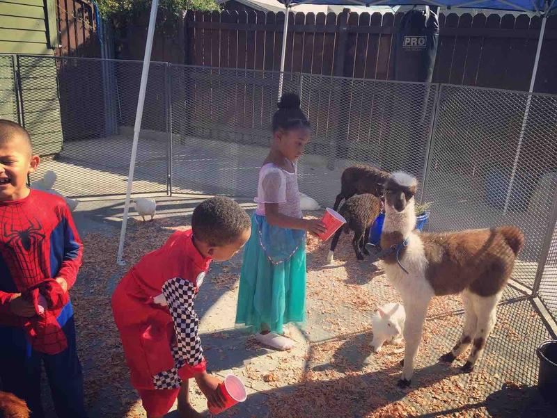 Photo of First Steps Child Care Inc. - Los Angeles, CA