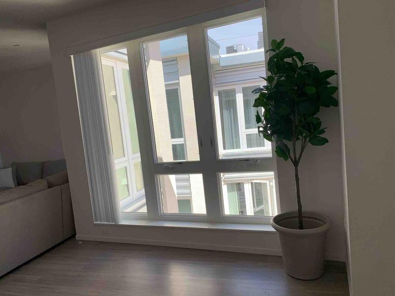 Photo of Abdi, Hafsa Childcare Daycare - San Diego, CA