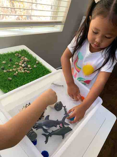 Photo of Brookside Academy - Murrieta, CA