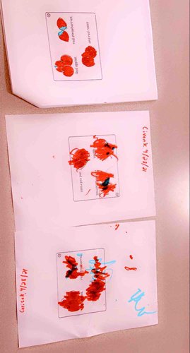 Photo of Karn Codelia Tehmeh Daycare - Otsego, MN