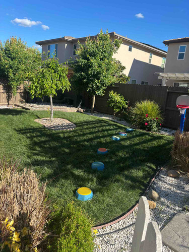 Photo of Babeeshark Daycare - Sacramento, CA