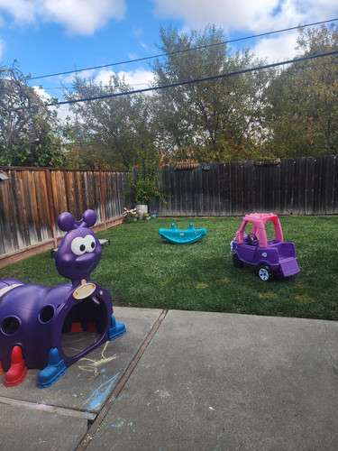 Photo of Baby Sharks Daycare