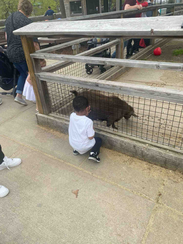 Photo of Alahnne Little angels Daycare - Detroit, MI