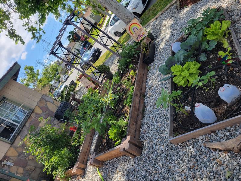 Photo of Wonderland Family CDC