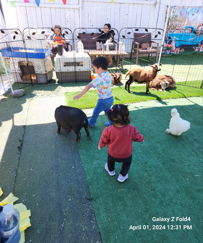 Photo of Melkonyan Family Child Care Daycare - Winnetka, CA