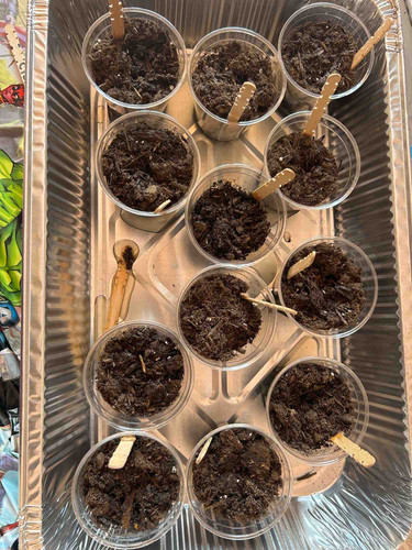 Photo of Holmes Family Child Care - Inglewood, CA