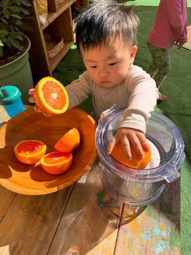 Photo of Tree House Child Care Daycare - Glendale, CA