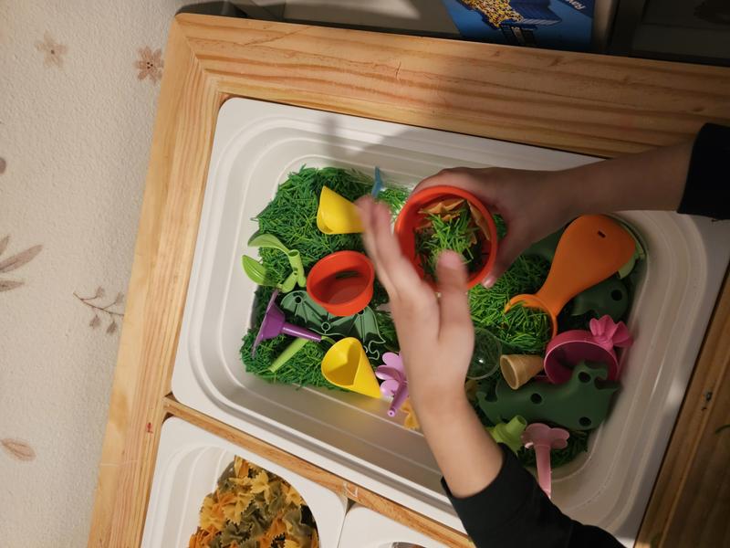 Photo of Cedar & Sound Daycare - Federal Way, WA