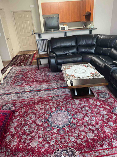 Photo of Manizha Hedayat - Folsom, CA