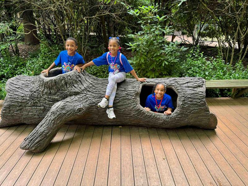 Photo of As Little Smile Llc