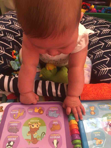 Photo of Extraordinary Kydz Learning Center - Plainfield, IL