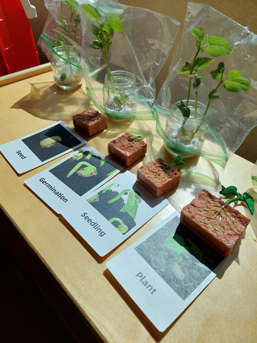 Photo of Bonita Child Daycare - Chula Vista, CA