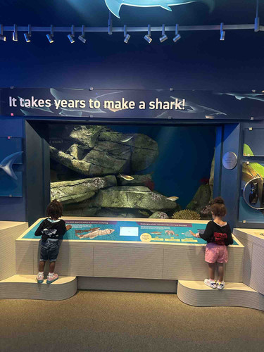 Photo of Wishing On A Star Daycare - Jamaica, NY