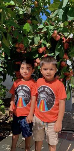 Photo of Pani Daycare - Anaheim, CA