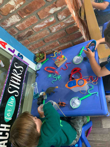 Photo of Little Star Daycare - Gilroy, CA