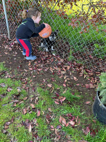 Photo of Bethel Daycare LLC - Vancouver, WA