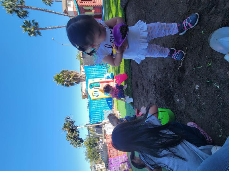 Photo of Little Lambs Daycare - San Diego, CA