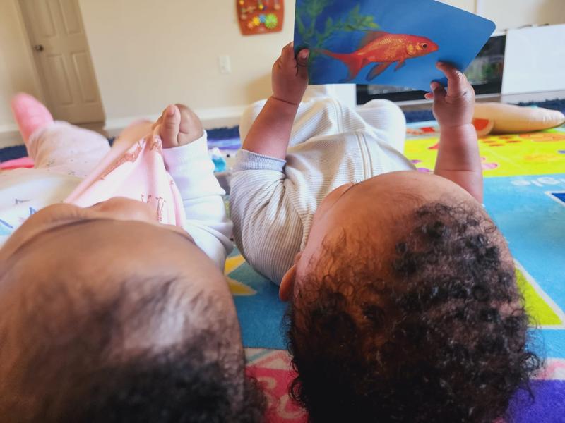 Photo of Ms.Dorothy's Children's Center - Port Saint Lucie, FL