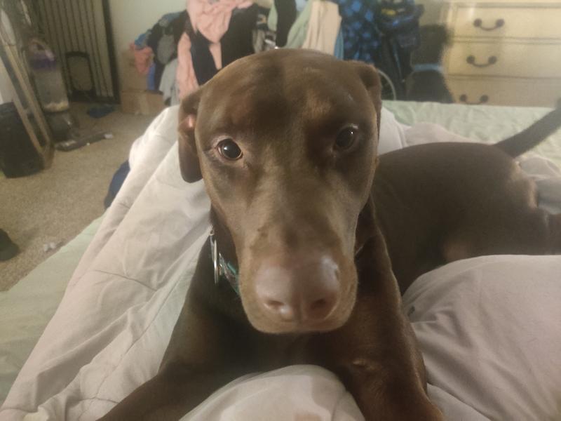 Photo of Lauren W. - North Bend, WA