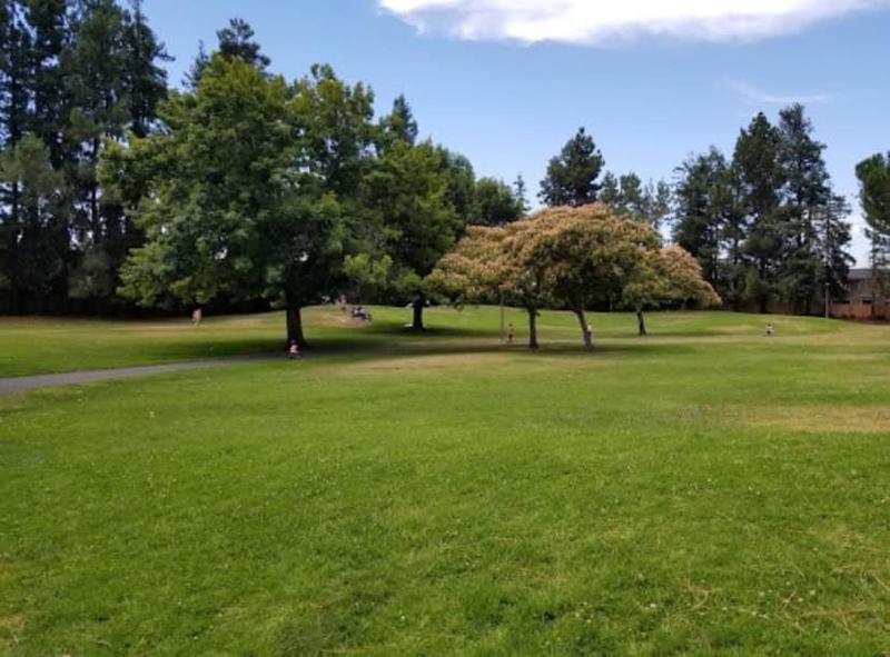 Photo of 白天鹅双语学习中心日托中心 - 库比蒂诺, CA