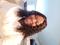 Photo of provider  Hadja