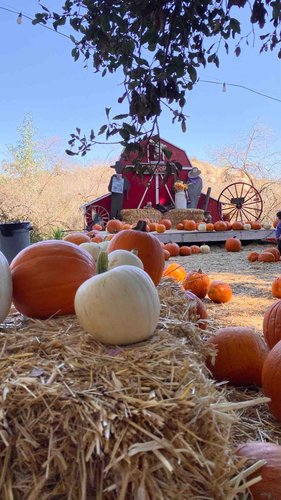 Photo of Sandyland Kids Daycare - Corona, CA