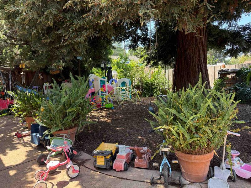Photo of Sweet Little Ducks Daycare - El Sobrante, CA, CA