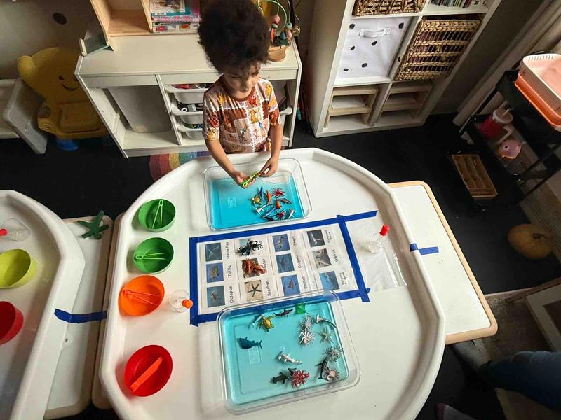 Photo of Tiny And Mighty School - Bronx, NY