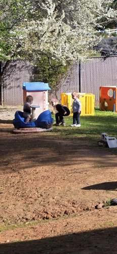 Photo of Kim's Little Rascals - Cameron Park, CA