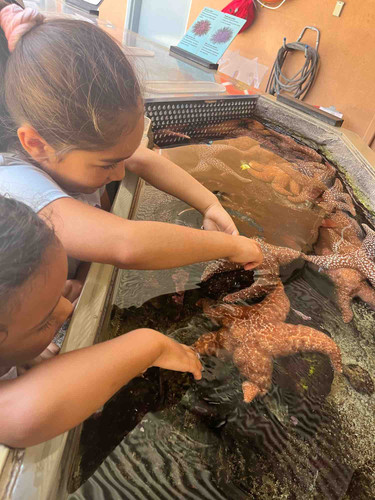 Photo of Cano Family Daycare - Los Angeles, CA