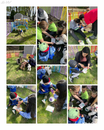 Photo of Little Adventures Daycare - Revere, MA