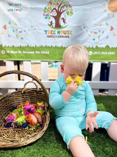Photo of Treehouse Daycare - Norwood, MA