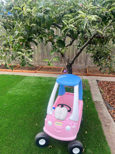 Photo of Beatriz Cruz Daycare - San Pablo, CA