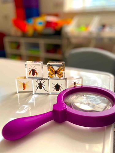 Photo of Little Hands Big Hearts - Seatlle, WA