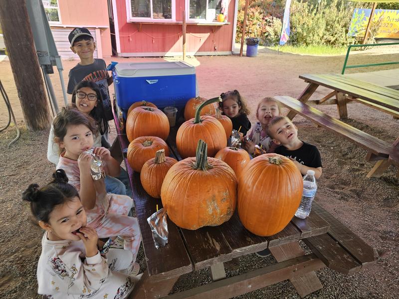 Photo of Beccas Buccaneers - Bakersfield, CA
