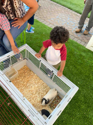 Photo of Little Friends House - Lynbrook, NY