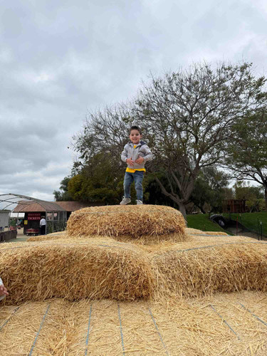 Photo of Mehrabyan Family Child Care - Glendale, CA