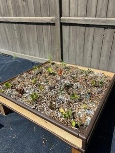 Photo of IBIS Children's Center - Chula Vista, CA