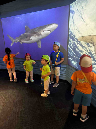 Photo of Little Adventures Daycare - Revere, MA