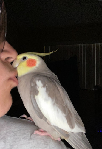 Photo of Laura D. - Deerfield Beach, FL