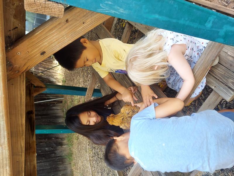 Photo of Masouma Family Childcare - Lakeside, CA