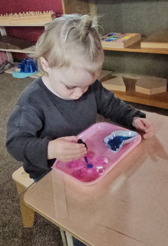 Photo of Stepping Stones In Kamas - Kamas, UT