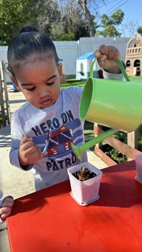 Photo of Wonder Place Daycare - Reseda, CA