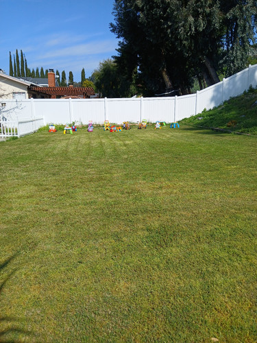 Photo of Angels Family DayCare - Mission Viejo, CA