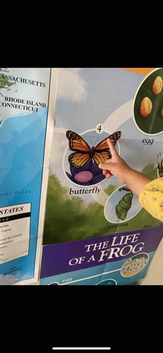 Photo of Dreamy Kids Daycare - Los Angeles, CA