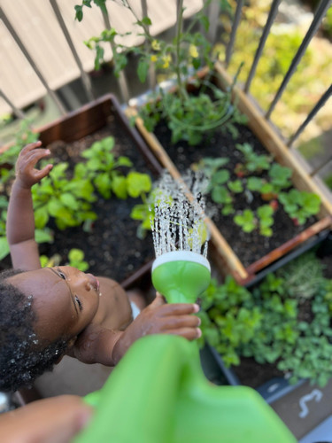 Photo of Wild & Free Childcare - Chula Vista, CA