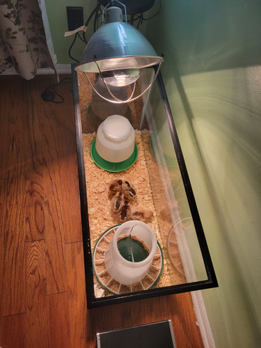 Photo of Ruth S. - Mequon, WI