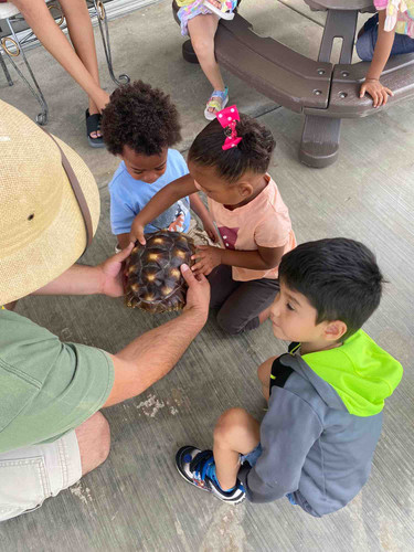 Photo of Heavens Angels Family Daycare - Carson, CA